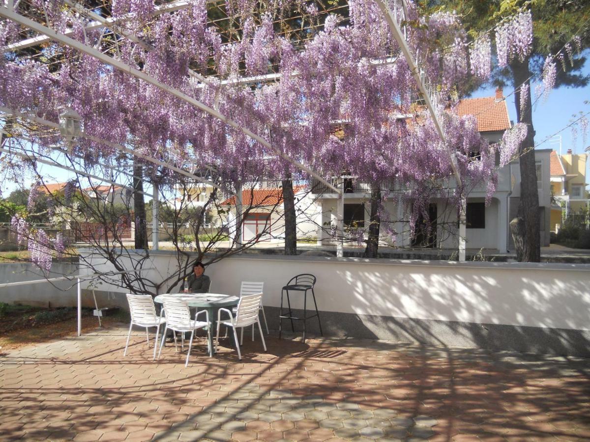 Apartamento Gaj *